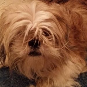 Meet your Posher, Rita